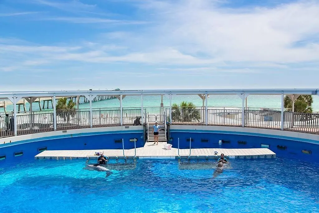 Apartment Ariel Dunes 2405 The Penthouse Destin United States